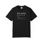 Dew Point Pilot T-Shirt — Funny Aviation Dictionary Shirt