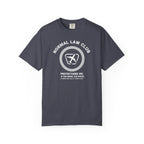 Pilot 'Normal Law' T-Shirt — Airline Pilot Themed Tee