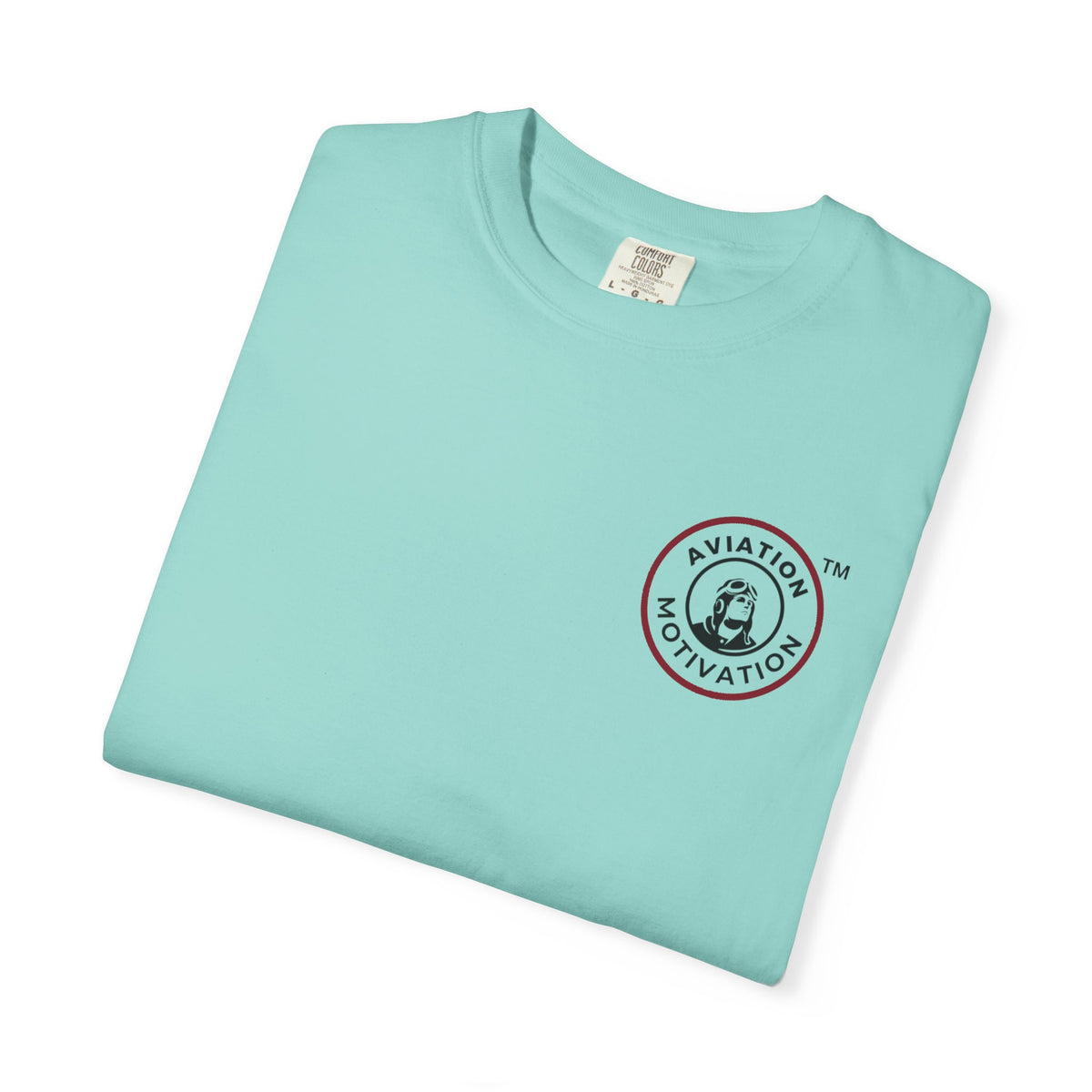 Squeaked It T-Shirt — Vintage Aviation Logo Tee