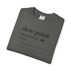 Dew Point Pilot T-Shirt — Funny Aviation Dictionary Shirt
