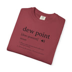 Dew Point Pilot T-Shirt — Funny Aviation Dictionary Shirt