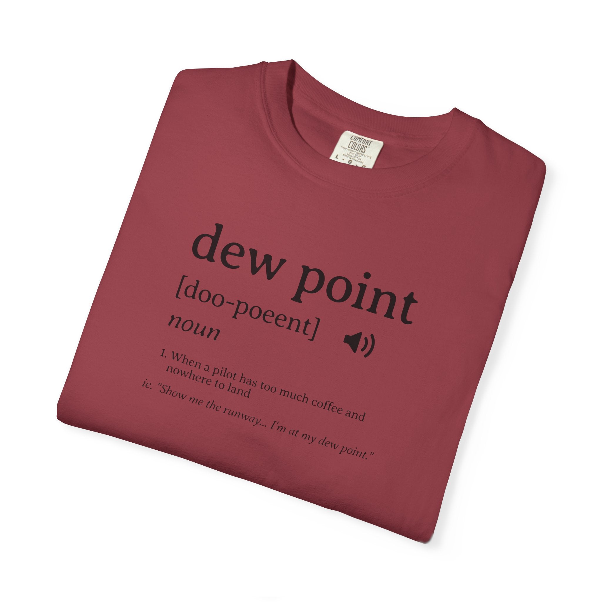 Dew Point Pilot T-Shirt — Funny Aviation Dictionary Shirt