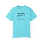 Dew Point Pilot T-Shirt — Funny Aviation Dictionary Shirt