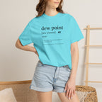 Dew Point Pilot T-Shirt — Funny Aviation Dictionary Shirt