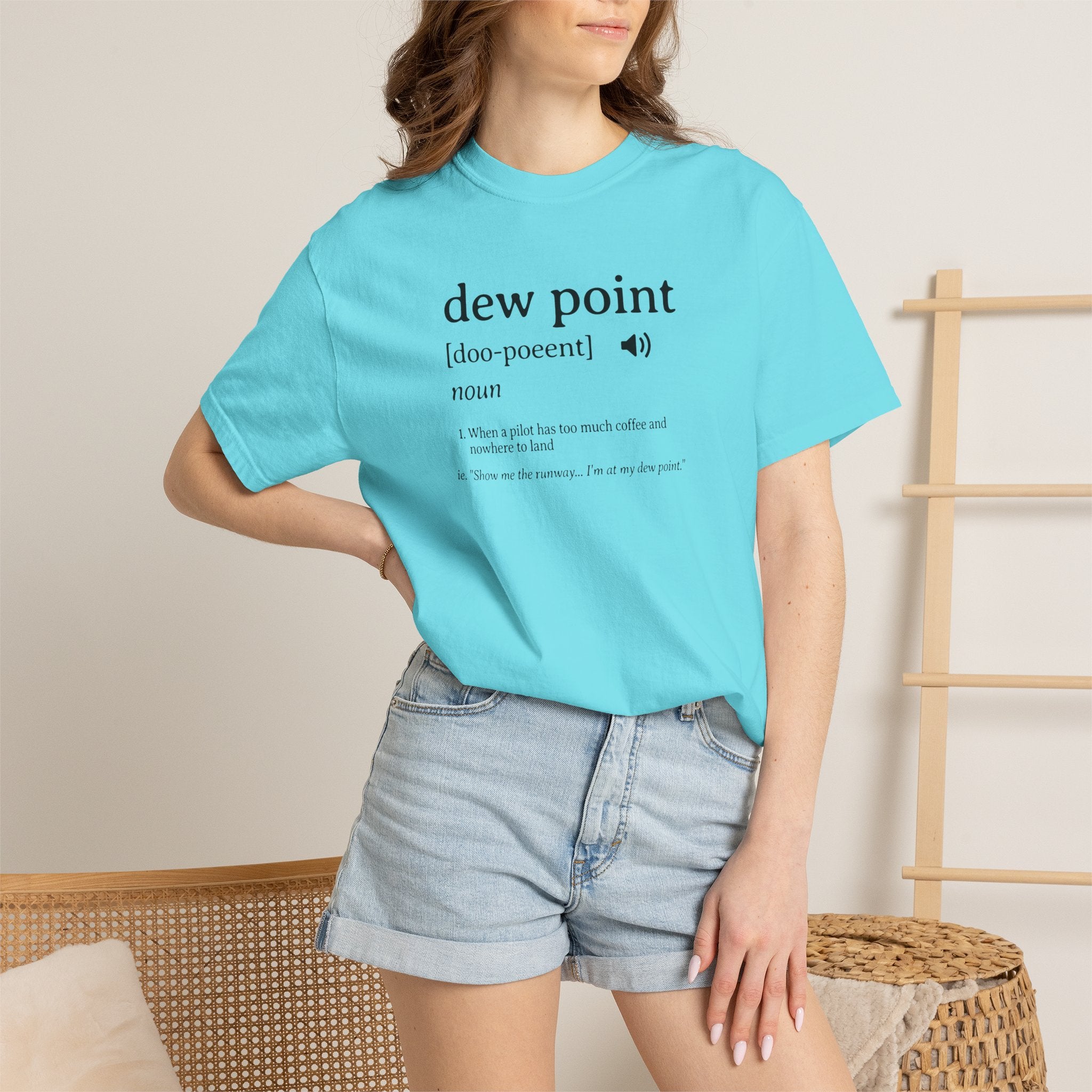 Dew Point Pilot T-Shirt — Funny Aviation Dictionary Shirt