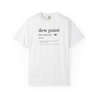 Dew Point Pilot T-Shirt — Funny Aviation Dictionary Shirt