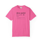 Dew Point Pilot T-Shirt — Funny Aviation Dictionary Shirt