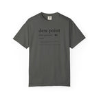 Dew Point Pilot T-Shirt — Funny Aviation Dictionary Shirt