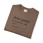 Dew Point Pilot T-Shirt — Funny Aviation Dictionary Shirt