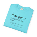 Dew Point Pilot T-Shirt — Funny Aviation Dictionary Shirt