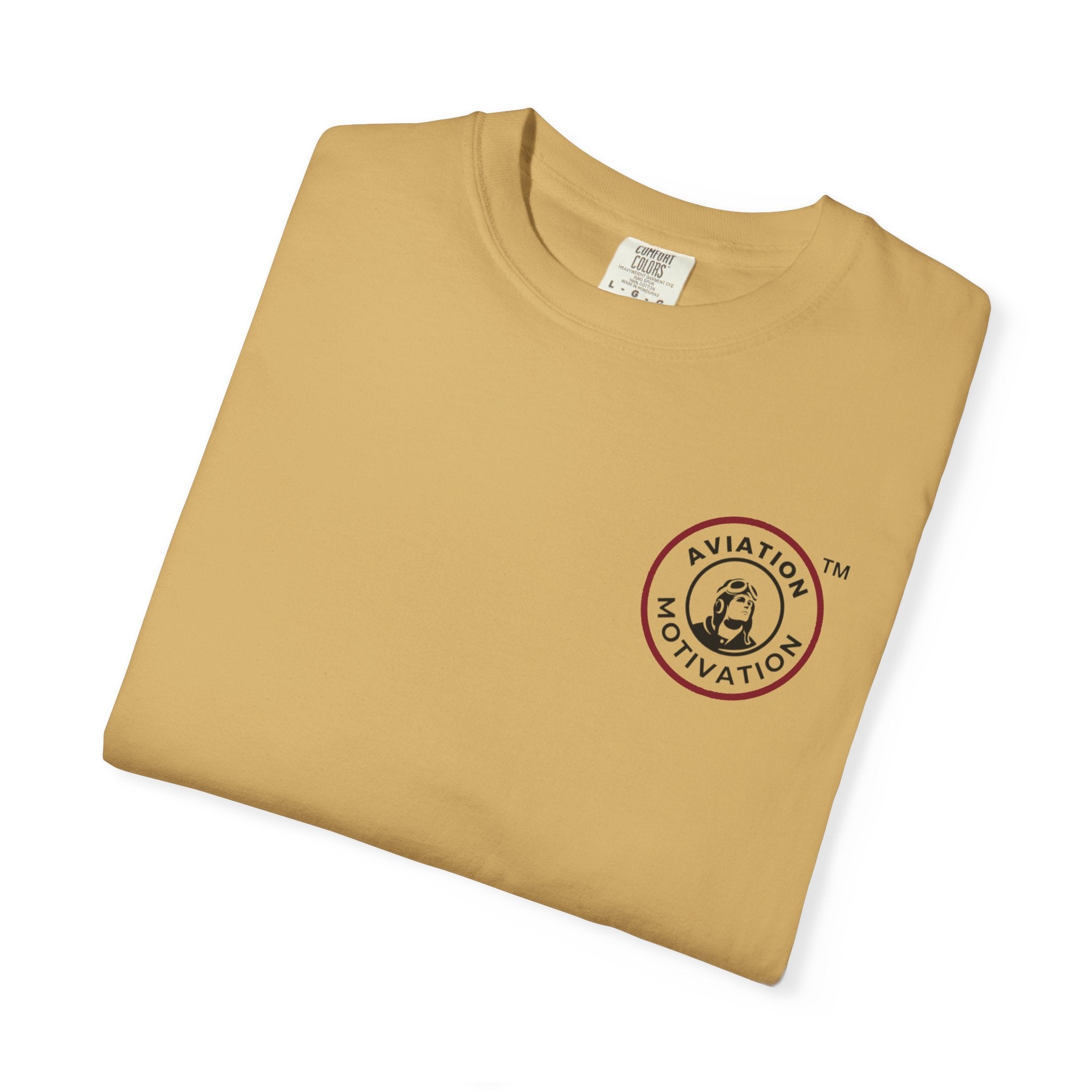 Squeaked It T-Shirt — Vintage Aviation Logo Tee