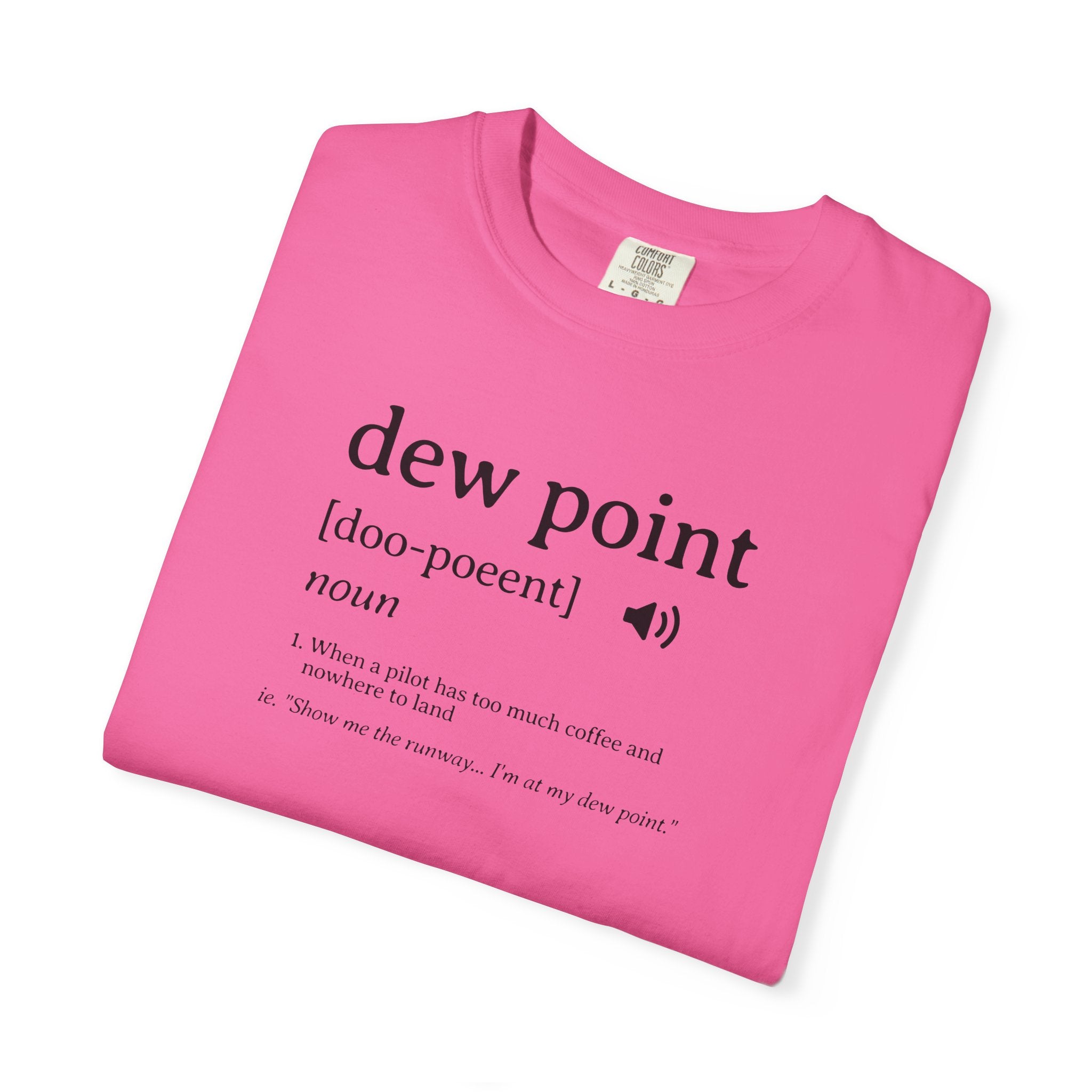 Dew Point Pilot T-Shirt — Funny Aviation Dictionary Shirt